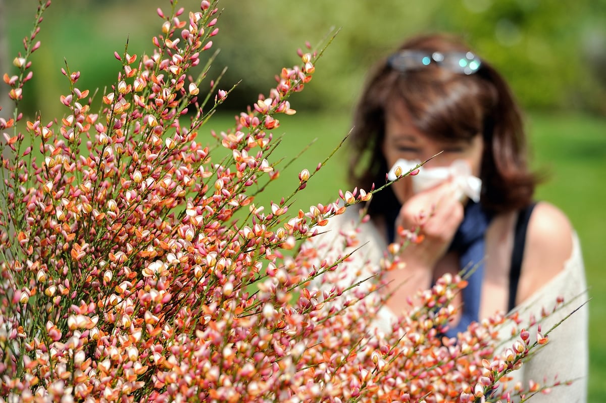 Pollen bomb: what is it, how long will it last and 5 tips for hay fever sufferers on how to beat symptoms
