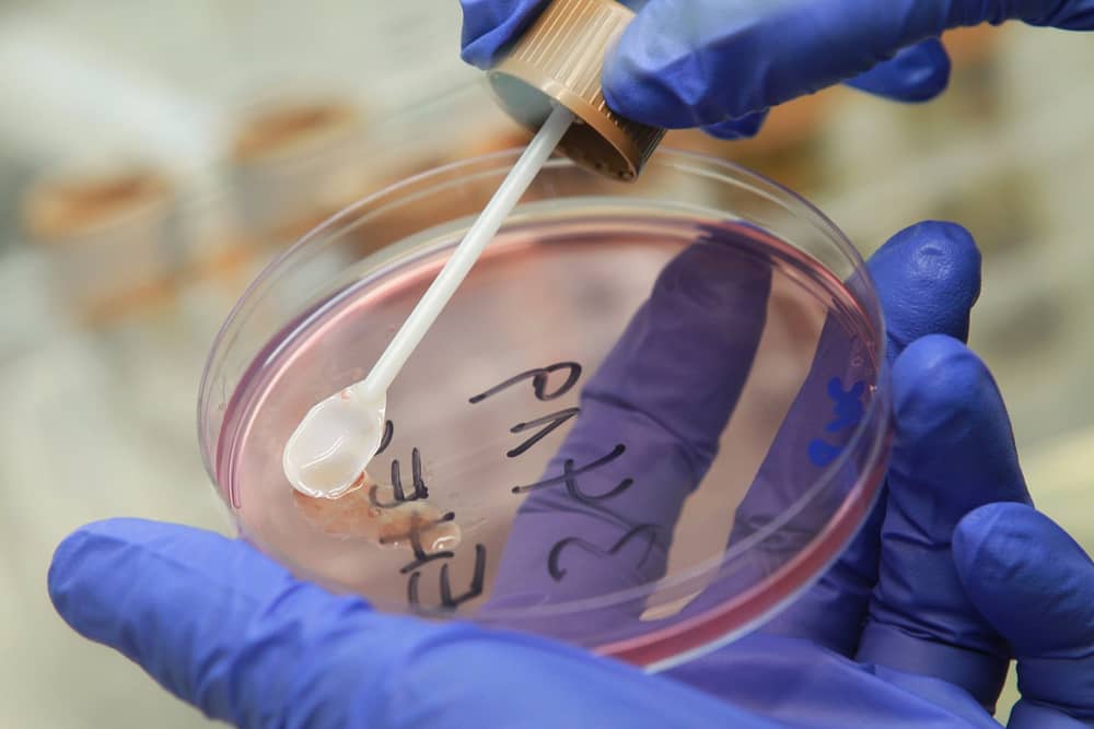 A person in the UK has died in an E.coli outbreak. (Photo: Sean Gallup/Getty Images)
