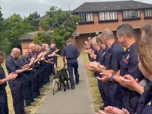 Walk of Honour for Sidney, Lancashire Fire and Rescue's retiring search dog
