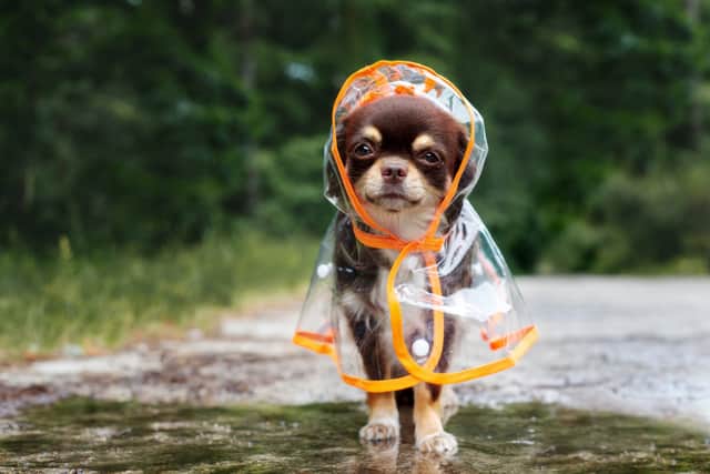 The best raincoats for staying dry and looking good this summer
