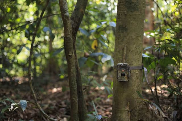 <p>The best home wildlife cameras to photograph birds and garden animals</p>