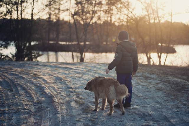 The RSPCA advises against keeping dogs outside in any weather