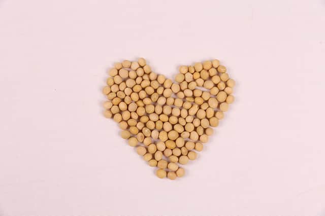 8. White Beans: If your child is a vegetarian, white beans provide a great source of protein, great for growth and iron which is great for energy. Furthermore, they can help keep your child satiated, as hunger can distract them in lessons. Try serving white beans such as cannellini beans or haricot beans in a cold wholegrain pasta salad.