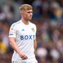Leeds United striker Joe Gelhardt is a man in demand. He has been linked to Preston North End among several other clubs. (Image: Getty Images)