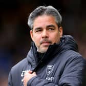 David Wagner has identified Preston North End's strengths. His Norwich City side face the Lilywhites at Carrow Road on Saturday. (Image: Getty Images)