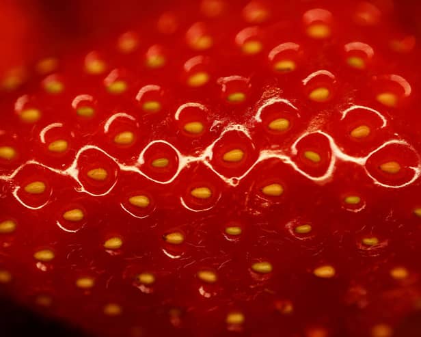 Strawberries were the most-affected food tested (Photo by Julian Finney/Getty Images)