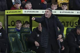 Ryan Lowe at Norwich City