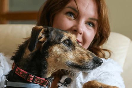 Maisie the Lurcher healthy and enjoying life