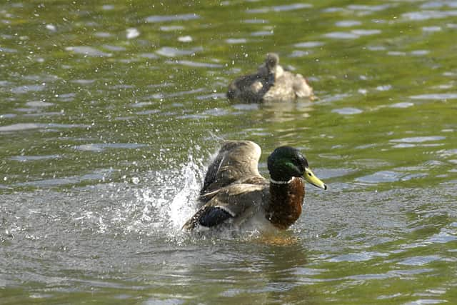 41 water pollution incidents were recorded in Preston between 2018 and 2022 (Credit: PA)