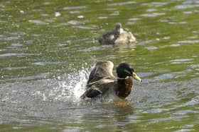 41 water pollution incidents were recorded in Preston between 2018 and 2022 (Credit: PA)