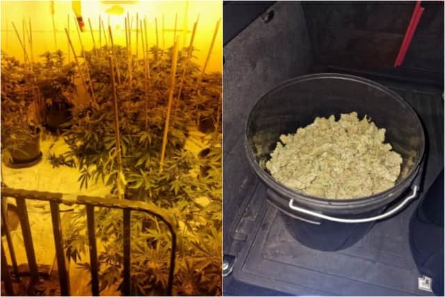 A man was arrested after a large cannabis farm was discovered in Accrington (Credit: Lancashire Police)