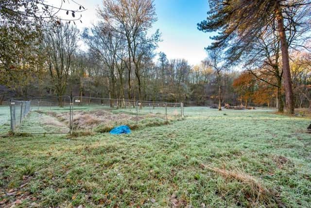 The woodland plot for sale.