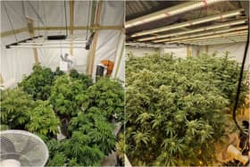 A cannabis farm worth approximately £150,000 was discovered in Blackburn (Credit: Lancashire Police)