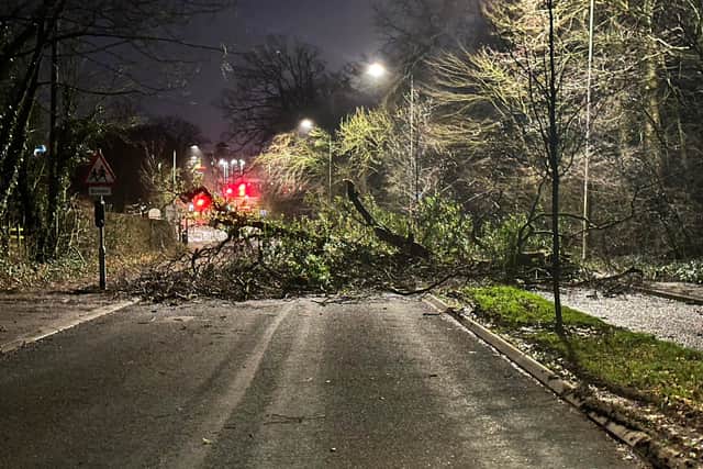 A fallen tree is blocking Garstang Road, outside the Marriott Hotel, in Broughton, Preston this morning (Wednesday, January 24)