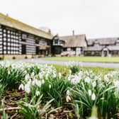 A brand-new art installation will tell a 16th century tale of love beyond the grave at Samlesbury Hall this February. 