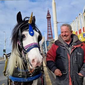 Shaun Fleming and 'Hitman' the horse, of Sapphire Carriages 