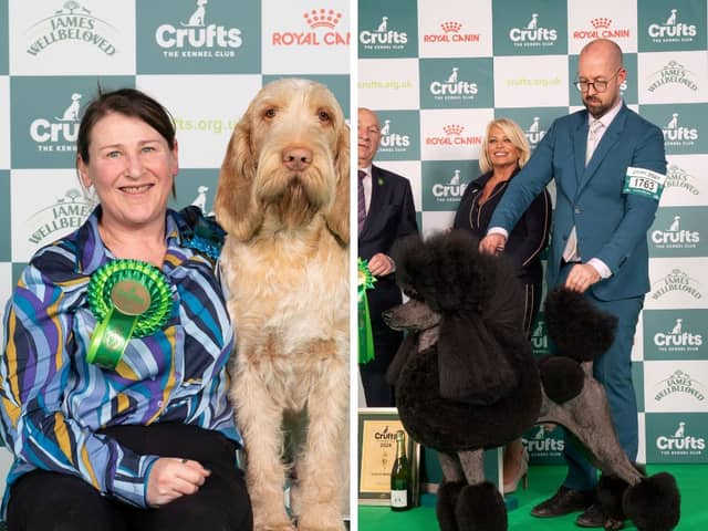 Jan Clark and Banksy, an Italian Spinone, and Jason Lynn from Blackpool with Boomer, a standard Poodle.