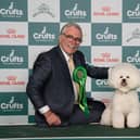 Michael Coad and King, a Bichon Frise, wowed the judges at the NEC Birmingham to hold off stiff competition and qualify for the Best in Group showpiece on the famous green carpet.