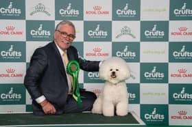 Michael Coad and King, a Bichon Frise, wowed the judges at the NEC Birmingham to hold off stiff competition and qualify for the Best in Group showpiece on the famous green carpet.