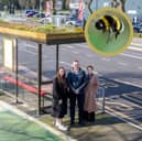 Preston's first bee-friendly bus shelter will be coming into bloom as the weather warms up over the coming weeks.