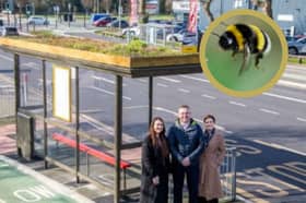 Preston's first bee-friendly bus shelter will be coming into bloom as the weather warms up over the coming weeks.