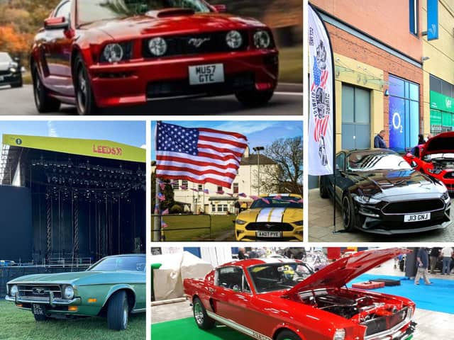 Mustangs belonging to members of the North West Stangs club.