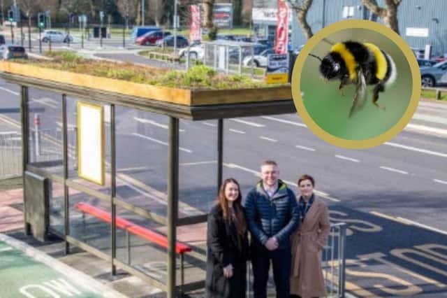 Some readers were happy about the news of a bee friendly bus shelter, while others weren't.