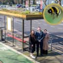 The first ever bee-friendly bus shelter coming to Fishergate Hill in Preston over the coming months has been met with a mixed bag reaction. 