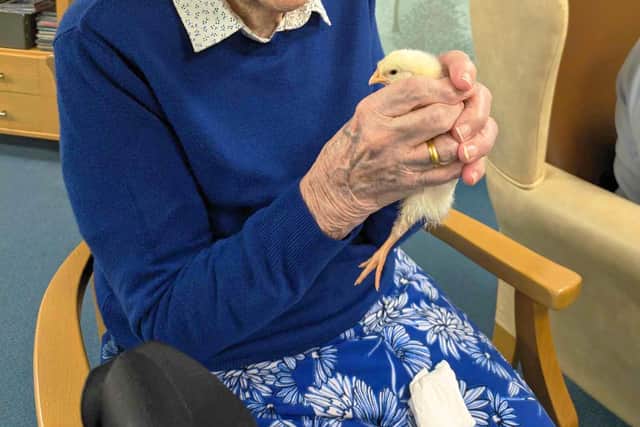 A resident pictured with one of the chicks. 