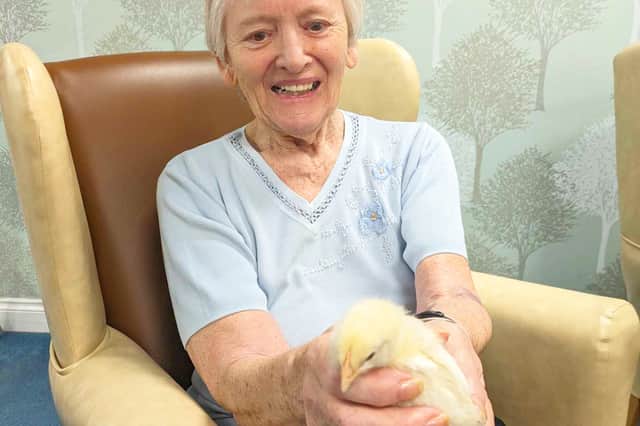 The emotional support chickens are set to bring numerous benefits to residents.