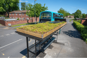 Living Roof shelter example.