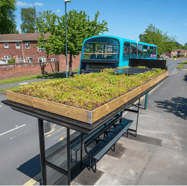 An example of what a Living Roof shelter will look like.