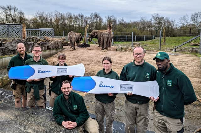 Blackpool Zoo keepers celebrating the wonderful news