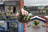 25 of the best florists and garden centres in Lancashire (Credit: Google/ Zoe Schaeffer)