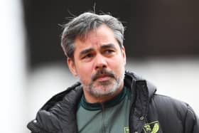 Norwich City have become the latest club to make a managerial change in the Championship. David Wagner has been sacked. (Image: Getty Images)