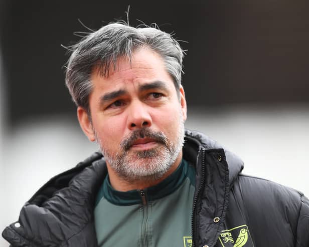 Norwich City have become the latest club to make a managerial change in the Championship. David Wagner has been sacked. (Image: Getty Images)
