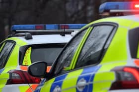 An 18-year-old man has since been arrested on suspicion of dangerous driving, criminal damage (the dogs), ABH (the woman), disqualified driving and driving with no insurance