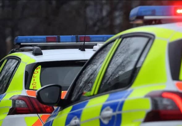 An 18-year-old man has since been arrested on suspicion of dangerous driving, criminal damage (the dogs), ABH (the woman), disqualified driving and driving with no insurance