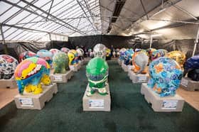 Preview of the elephants involved in Elmer's Big Parade Blackpool for Brian House Children's Hospice.