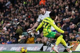 Preston North End and Norwich City had been battling for a Championship play-off spot. The Canaries are on course to finish in the top six. 