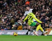 Preston North End and Norwich City had been battling for a Championship play-off spot. The Canaries are on course to finish in the top six. 