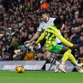 Preston North End and Norwich City had been battling for a Championship play-off spot. The Canaries are on course to finish in the top six. 