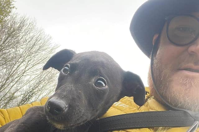 Dog walker finds puppies cruelly dumped in a bush at Fishwick Bottoms