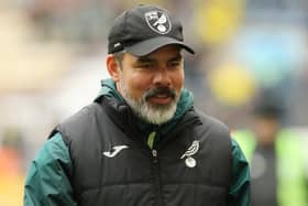 Norwich City manager David Wagner 