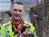 Lancashire Fire and Rescue Service chisel 'furious' cat out of wall