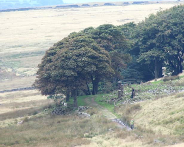 Woodland in Lancashire. Credit: Alan Wright