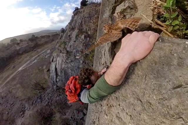 The video shows the bird leap from its perch as he scaled a quarry wall in Silverdale (Credit: Will Birkett/ SWNS)