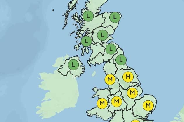 The pollen level is moderate in the North West for the next five days. Credit: MET Office