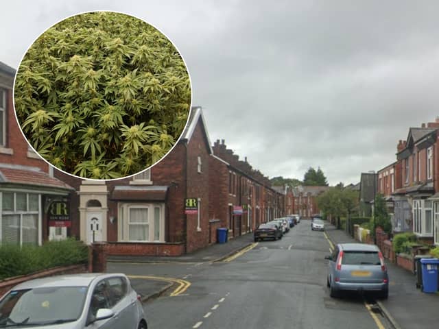 Around 150 cannabis plants were discovered inside a property on Avondale Road in Chorley (Credit: Lancashire Police)