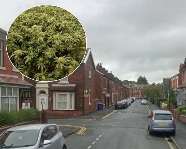 Around 150 cannabis plants were discovered inside a property on Avondale Road in Chorley (Credit: Lancashire Police)